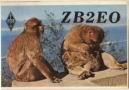 ZB2EO